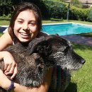 01 Junker Gottfried Ihr bester Freund